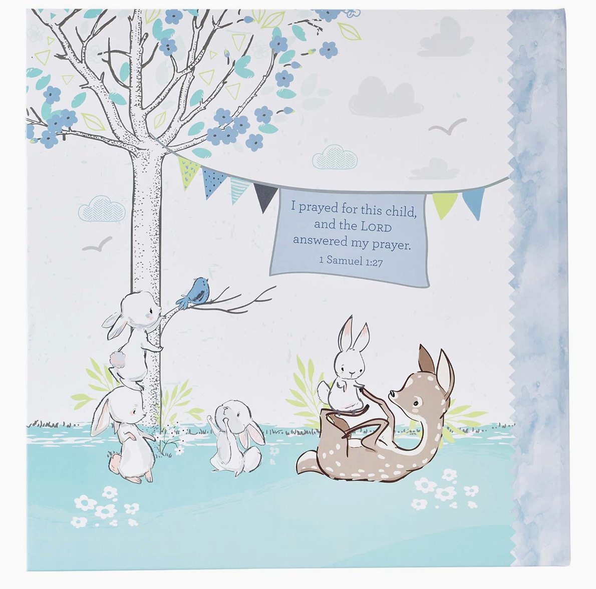 First Year Baby Boy Memory Book
