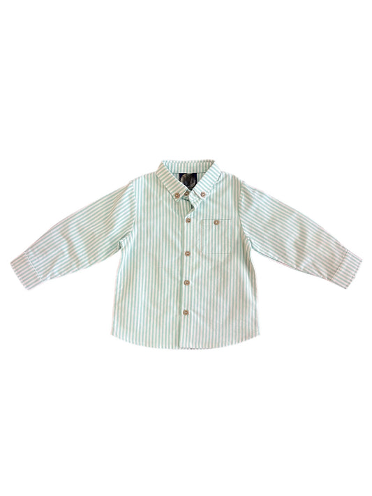 Green Stripe Button Down